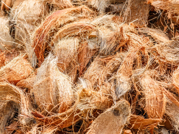 Xơ dừa là vỏ ngoài của quả dừa, ứng dụng nhiều trong nông nghiệp và làm giá thể cây rất tốt.