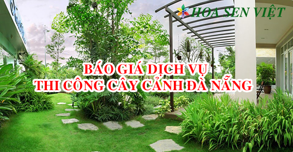 Báo giá dịch vụ thi công cây cảnh Đà Nẵng.