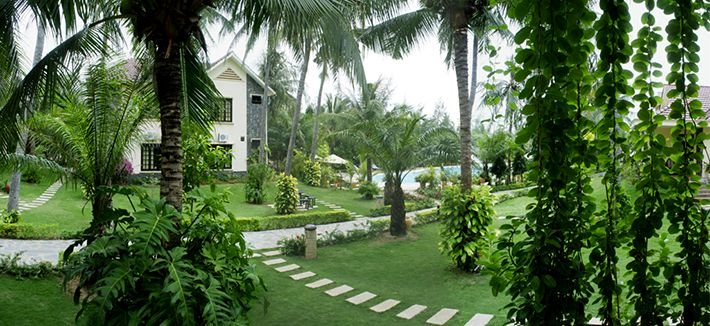 Cung cấp cây cho các resort lớn tại Đà Nẵng và miền Trung.