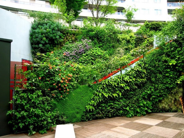 Ứng dụng vườn trên tường trong thiết kế sân vườn, cảnh quan cây cảnh Resort