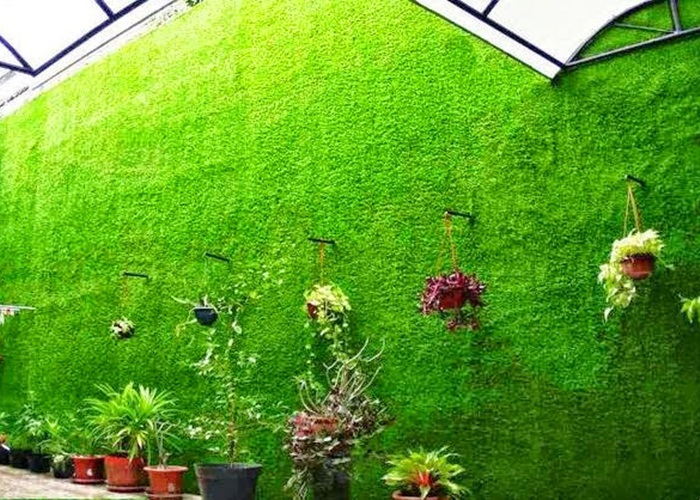 Ứng dụng vườn tường giả sử dụng cỏ nhân tạo.