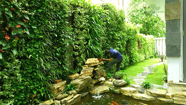 Chăm sóc vườn tường Đà Nẵng